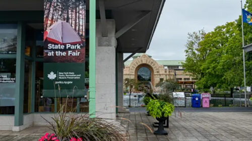 NYS Parks - ESF Science Fair Projects - Research Foundation • All Day