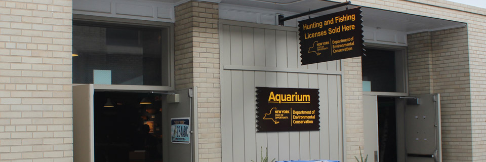 DEC Aquarium