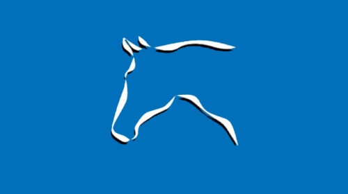 USEF Hunter/Jumper Horse Show (9am-8pm)