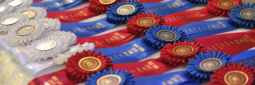 <div class='slides_user_inputted'> <a href='https://nysfair.ny.gov/competitions/results/'>  <h2 class='hero_title'> 2022 Fair Competition Results</h2>  <h4 class='hero_sub_title'>Who Was a Winner?</h4>  <p class='hero_link'>FIND OUT HERE</p>  </a></div>