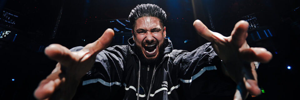 DJ Pauly D release