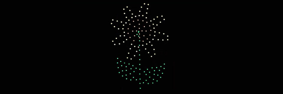 Good Works Drone Show
