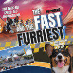 The Fast and the Furriest Corgi Races