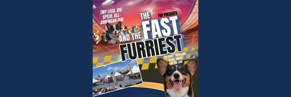 The Fast and the Furriest Corgi Races