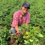 NYS Grown & Certified Partners with Tully’s to Deliver Homegrown Experience and Celebrate Its 10th Anniversary at The Great New York State Fair’s Potato Booth