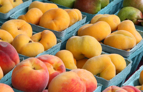 Outdoor Grown Garden Fruits & Vegetables Show