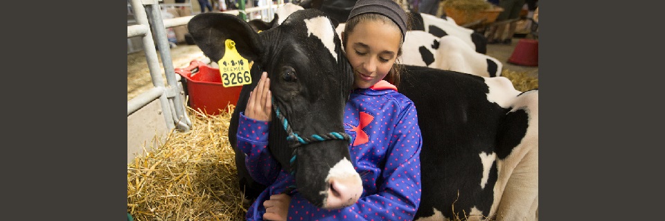 Governor Cuomo Announces The Great New York State Fair Breaks All-Time Single-Day Attendance Record