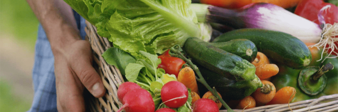 At Great New York State Fair, Governor Hochul Announces State Exceeds