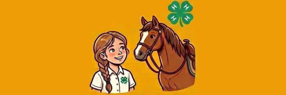 4-H Youth Horse - Meet the Horses Educational Event