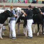 Holy Cow! New York’s Largest Holstein Dairy Cattle Show in Nearly a Decade is Coming to The Great New York State Fair